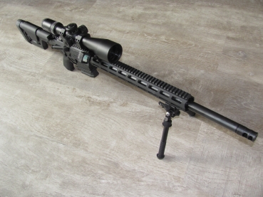 Preview: DAR-10 Target Rifle .308Win