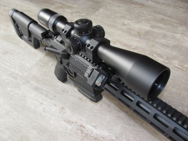Preview: DAR-10 Target Rifle .308Win